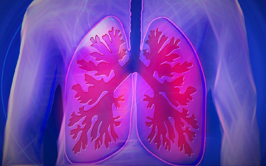 Lee más sobre el artículo Fibrosis quística: cuáles son sus síntomas, causas y tratamiento